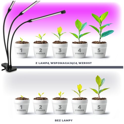 Lampa LED Do Wzrostu Uprawy Roślin na Klips POTRÓJNA TIMER + ZASILACZ na Arena.pl