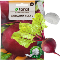 BURAK ĆWIKŁOWY NA TAŚMIE CZERWONA KULA TAŚMA NASIENNA NASIONA BURAKA 6M