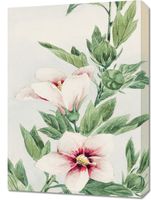 Obraz 50x70cm Hibiscus, Morikaga Japoński Vintage do Salonu