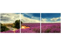 product-compare-58707414