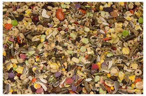 5kg Exclusive karma dla gryzoni królików świnki Premium na Arena.pl