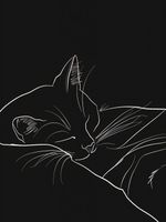 Plakat 75x100cm Nocny Spokój