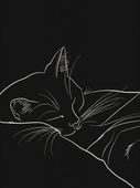 Plakat 75x100cm Nocny Spokój