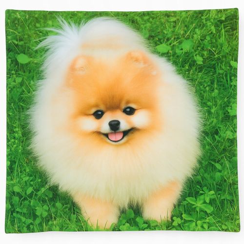 Poszewka Dekoracyjna 45x45 Zwierzęta Koty Psy - Miękka, Welurowa WZORY na Arena.pl