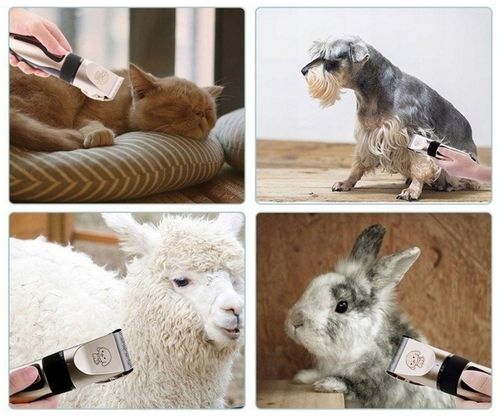 MASZYNKA DO STRZYŻENIA PSÓW PSA KOTA ZWIERZĄT ZESTAW CICHA PROFESJONALNA na Arena.pl