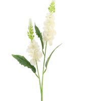 product-compare-61191038