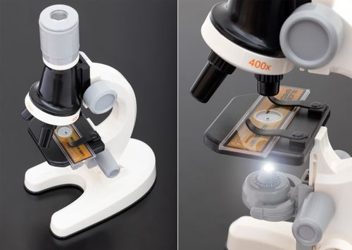 MIKROSKOP EDUKACYJNY NR:7574 na Arena.pl