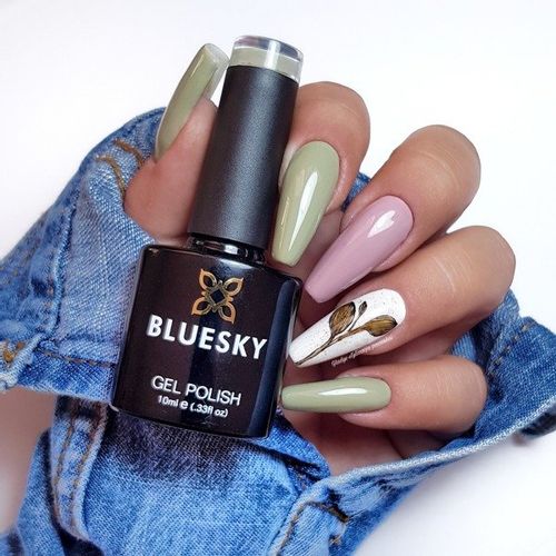 Bluesky SS1908 IVY na Arena.pl