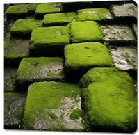 Obraz 90x90cm Zielona Mozaika