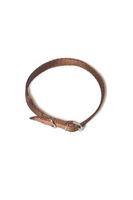 A-009 OBROŻA DLA PSA TAŚMA 16MM/30-41CM Kolor - Brązowy