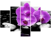 70 100CM OBRAZ 5 ELEM OSTOJA PIĘKNA DRUK PŁÓTNO