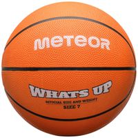 ND05_P1134-7 16833 Pika koszykowa Meteor Whats