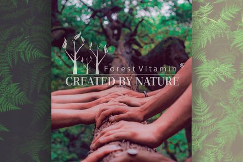 CZYSTA W PROSZKU NATTO Nattokinaza 25g UKŁAD KRĄŻENIA CIŚNIENIE KREW JAKOŚĆ na Arena.pl