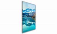 OBRAZ NA SZKLE PROSTOKĄTNY 70x100cm 096 Staw