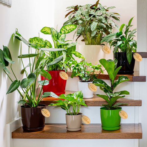 DONICZKA OSŁONKA Z PODSTAWKĄ DONICA 14cm KOLORY na Arena.pl