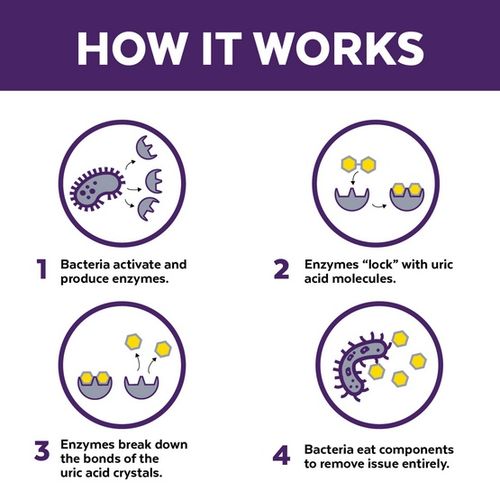 Urine Off Cat & Kitten Formula - do usuwania plam moczu 118ml na Arena.pl