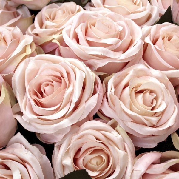 Yodeyma Vivacity Woda Perfumowana Dla Kobiet 100ml zdjęcie 4