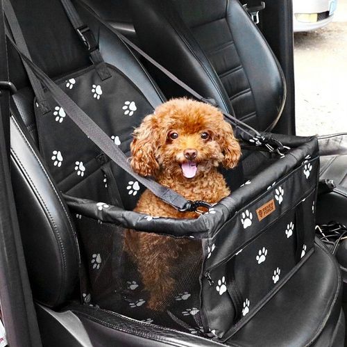 FOTELIK samochodowy dla PSA KOTA Duży TRANSPORTER do auta Na Siedzenie Mata na Arena.pl