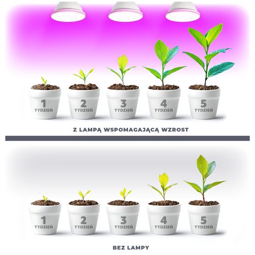 Żarówka biała LED 9W do Uprawy Roślin E27 do Wzrostu Doświetlania na Arena.pl
