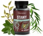 Skoczylas Stawy - kadzidłowiec indyjski, wierzba biała, ashwaganda