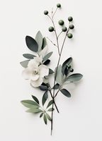 product-compare-59367089