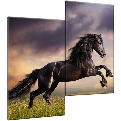 Obraz 60X60 Koń Staje Dęba na Arena.pl