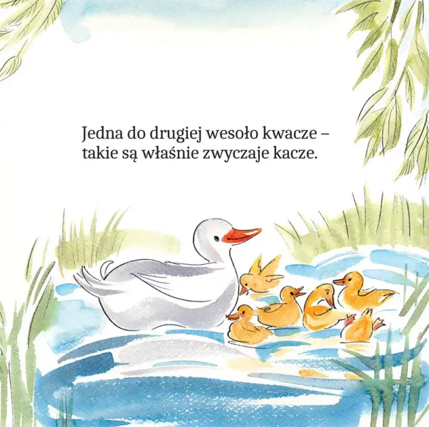 Zwierzątka Na Wsi W Wierszykach zdjęcie 3
