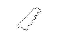 USZCZELKA POKRYWY ZAWOROW FIAT STRADA 2000 2001 2002 2003 2004 2005