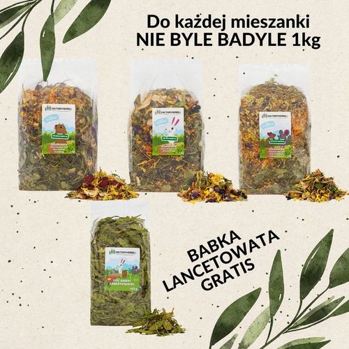 NIE BYLE BADYLE dla Królika 1kg + Babka lancetowata GRATIS na Arena.pl