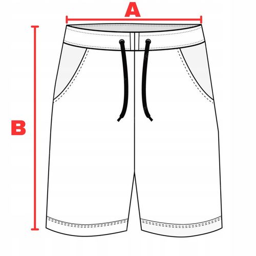 SPODENKI 4F MĘSKIE SPORTOWE KRÓTKIE NA CO DZIEŃ BAWEŁNIANE LIMITOWANA na Arena.pl