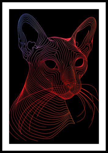 Plakat 40x60cm Cyfrowa Kocica na Arena.pl