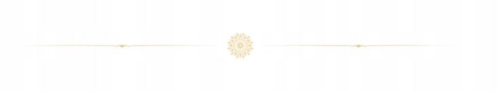 Maison Alhambra Salvo Intense EDP męski zapach zdjęcie 3