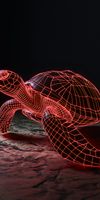 Plakat 50x100cm Neonowy Żółw
