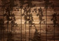 FOTOTAPETA 3D DREWNO tło deski TŁA z desek 350x245