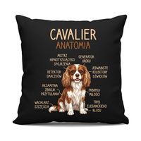 Cavalier – anatomia - czarna poduszka na prezent z pieskiem