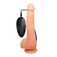 Penis Realistyczny Jądra Przyssawka Pilot 24Cm