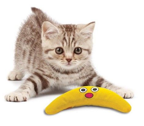 Petstages Magiczny bumerang dla kota PS331 na Arena.pl