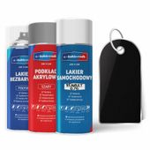 lakier samochodowy w sprayu zestaw naprawczy renault nv676 pearl black
