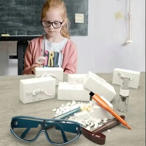 Wykopaliska Dinozaurów 6w1 Skamieniałości na Arena.pl