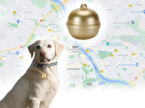 Lokalizator GPS obroża psa aplikacja Android iOS na Arena.pl