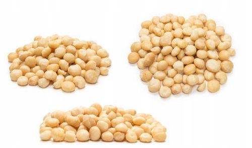 ORZECHY MACADAMIA ŁUSKANE 500g z Australii - Wysoka Jakość na Arena.pl