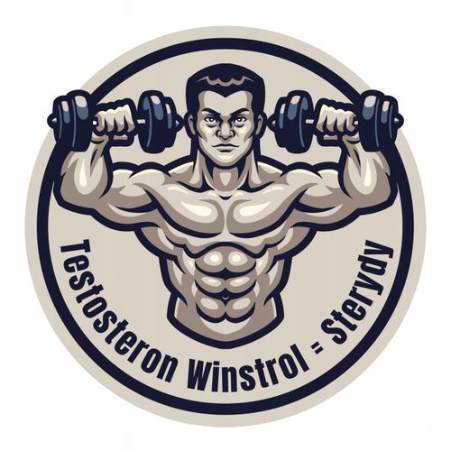 Somatodrol + Testonox Masa Siła Testosteron na Arena.pl