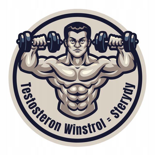 Somatodrol + Testonox Masa Siła Testosteron zdjęcie 4