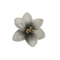 Lilijka wyrobowa '19 24szt