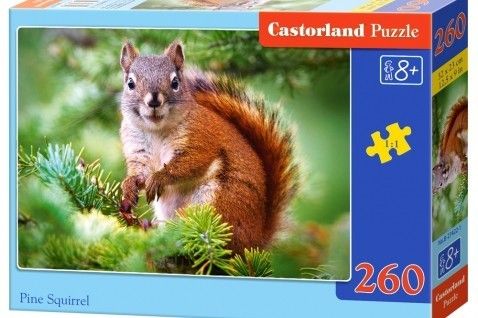 Castor 260 ELEMENTÓW Wiewiórka na Arena.pl
