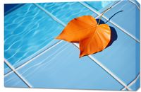 Obraz 90x60cm Liść przy Wodzie