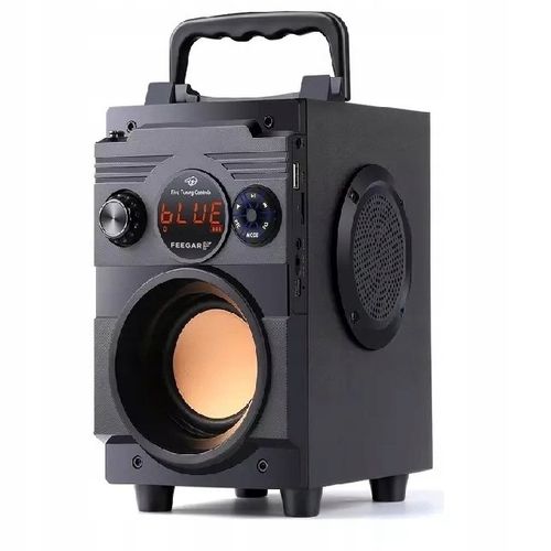 Głośnik Przenośny Feegar Showjet + Mikrofon na Arena.pl