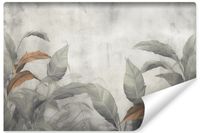Fototapeta Do Sypialni LIŚCIE Rośliny Natura Beton 450cm x 300cm