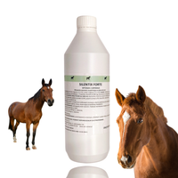 SILENTIX FORTE 1L na uspokojenie i stres – magnez z tryptofanem 1l