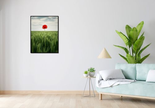Plakat 60x80cm Samotny Mak na Polu na Arena.pl